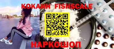гидра Новозыбков