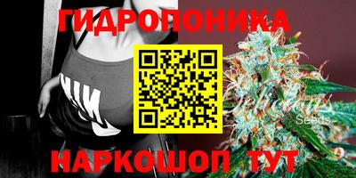 каннабис Новодвинск