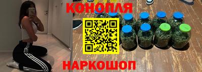 гидра Новозыбков