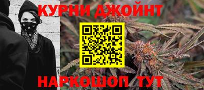 гидра Новозыбков
