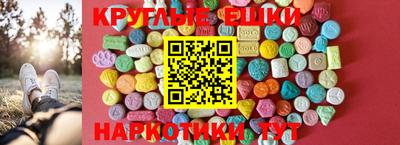 гидра Новозыбков