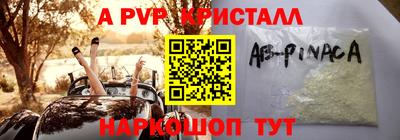 гидра Новозыбков