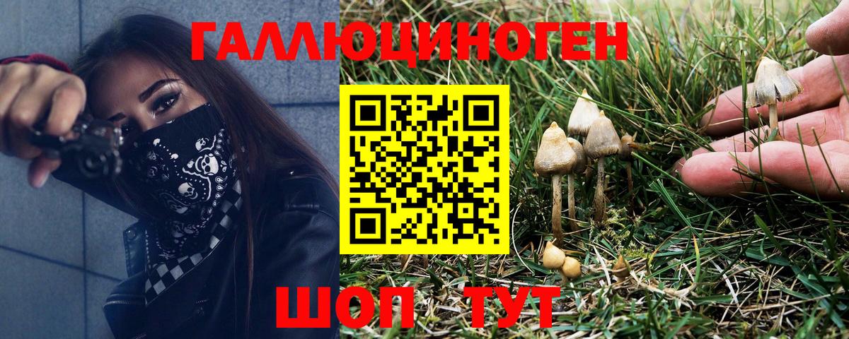 Галлюциногенные грибы ЛСД  Вход с VPN  Острогожск 